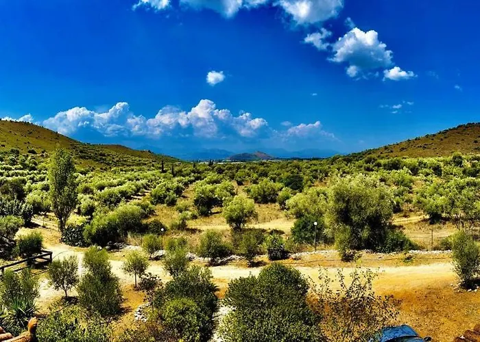 Villa Estate Tsiati - κτήμα τσιάτη