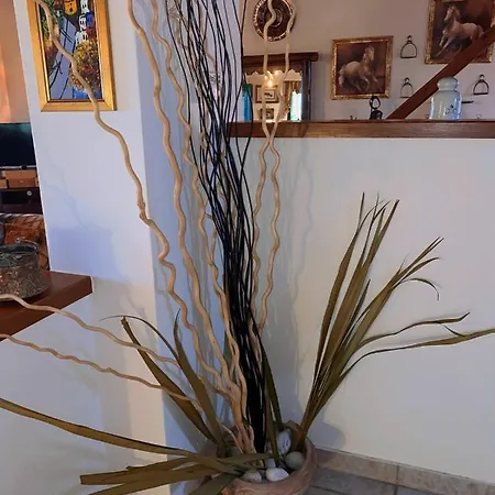 Estate Tsiati - κτήμα τσιάτη Villa