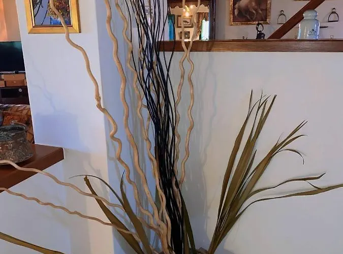 Estate Tsiati - κτήμα τσιάτη Villa